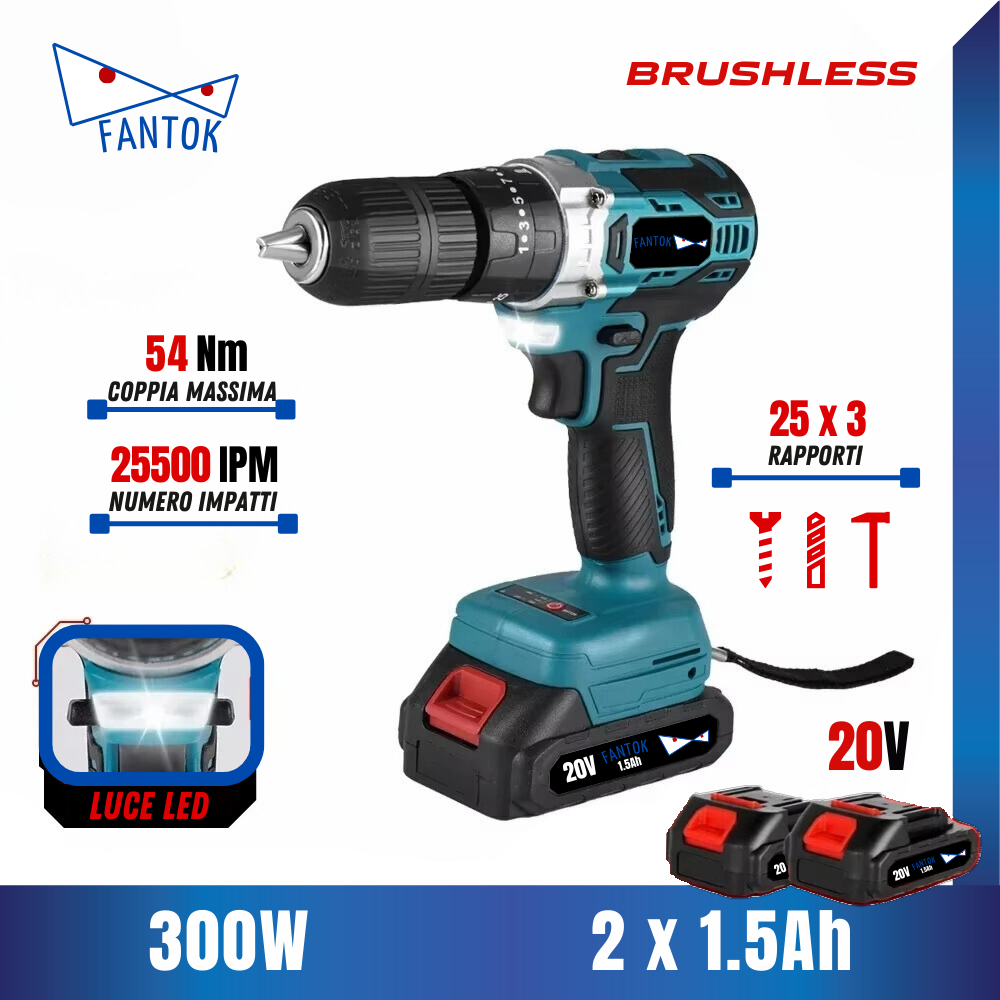 Avvitatore Trapano a Percussione a Batteria 20V Brushless 54Nm